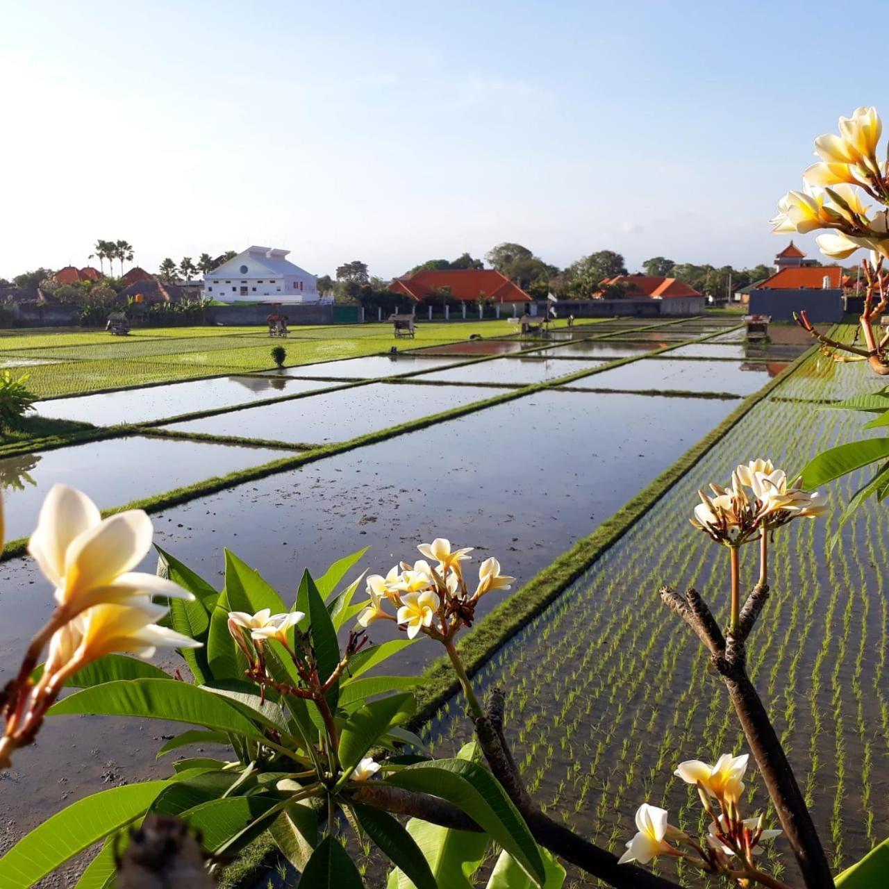 The Avani Villas Kuta  Luaran gambar
